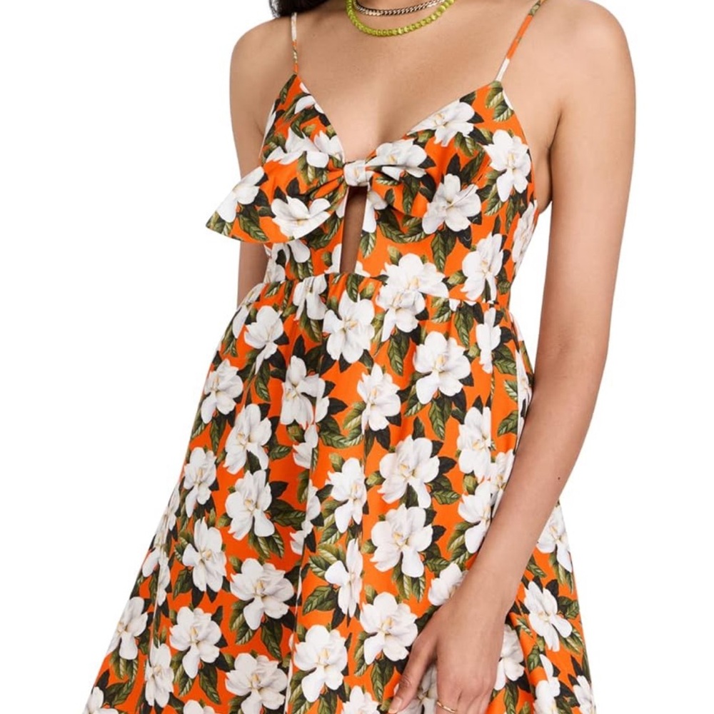 Alice + Olivia Floral Dress - Babydoll, Labor Day, Sundress